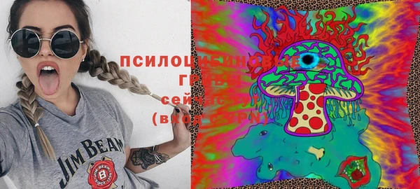 2c-b Балахна