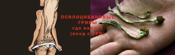 apvp Балабаново