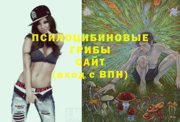 apvp Балабаново