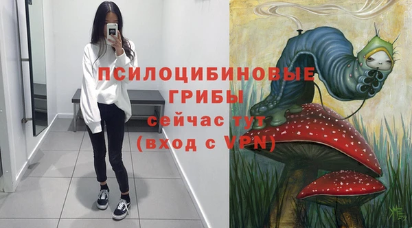 apvp Балабаново